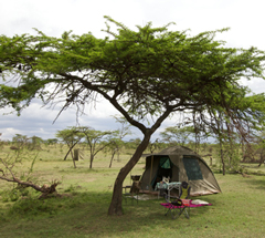 Fly camping brings you even closer to the wilderness