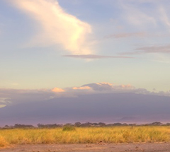 Skip the ladies program, climb Kilimanjaro!