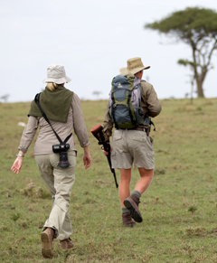 On walking safaris you try to avoid the big game