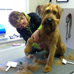 They pulled out my hair!