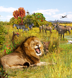 Watch me, watching you!