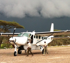 To fly or not to fly