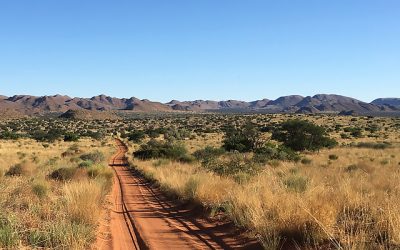 Abundance in the Kalahari