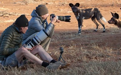 Wild dogs and dagga boys in Laikipia