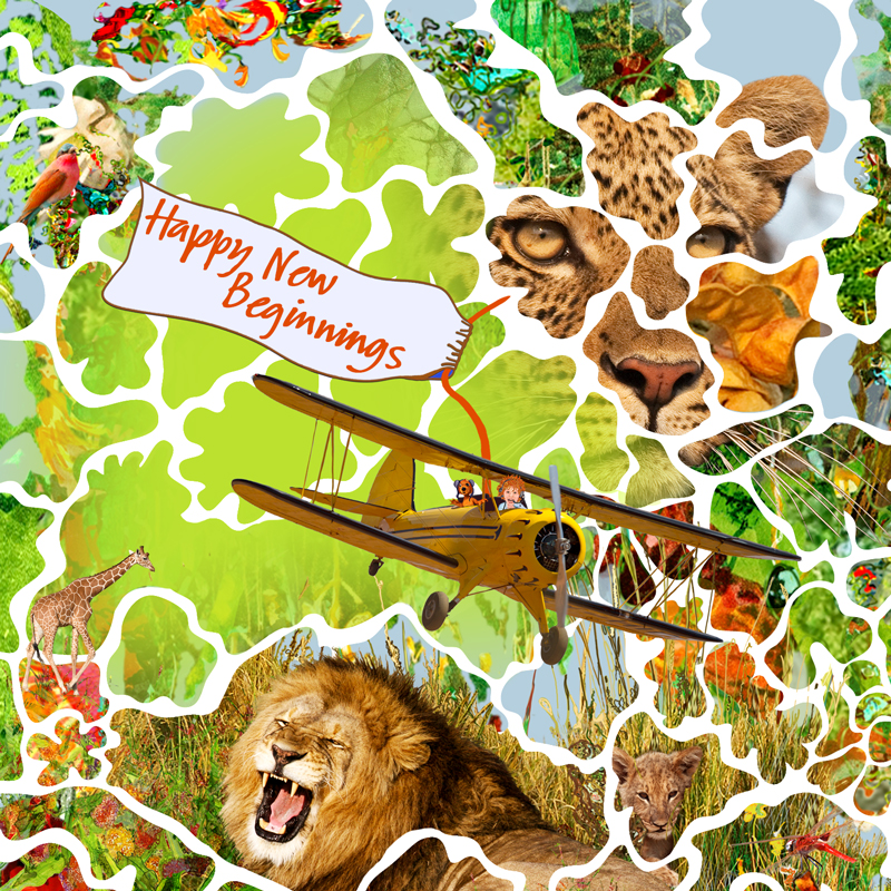 twikga-happy-new-beginnings