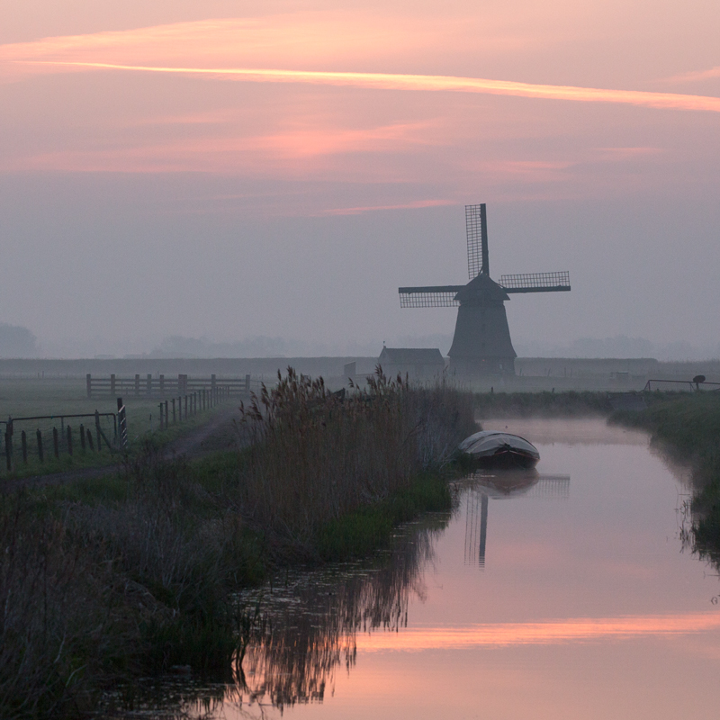 wild-picha-misty-molen Windmil
